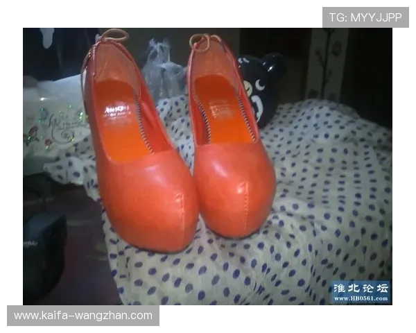 如何便捷进行凯发登录首页网址查询确保账号安全与登录顺利