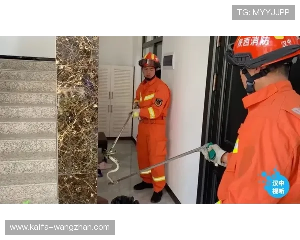 凯发旗舰平台安全保障措施详解：保障玩家资金与个人信息安全的关键策略